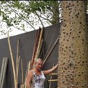 ���� �����, ������, 55 ��� - ��������� 9 ������ 2026