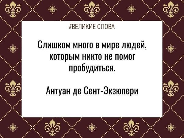   | ,    - 12  2025  21:55