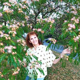 , 54, 
