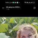 ���� ��������, ��������� - ��������� 10 ����� 2026