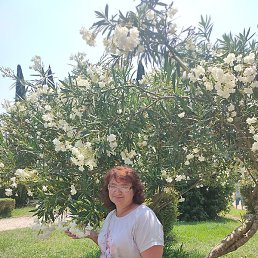 �������, �����������, 54 ����