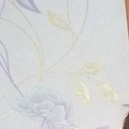 , 41 , 