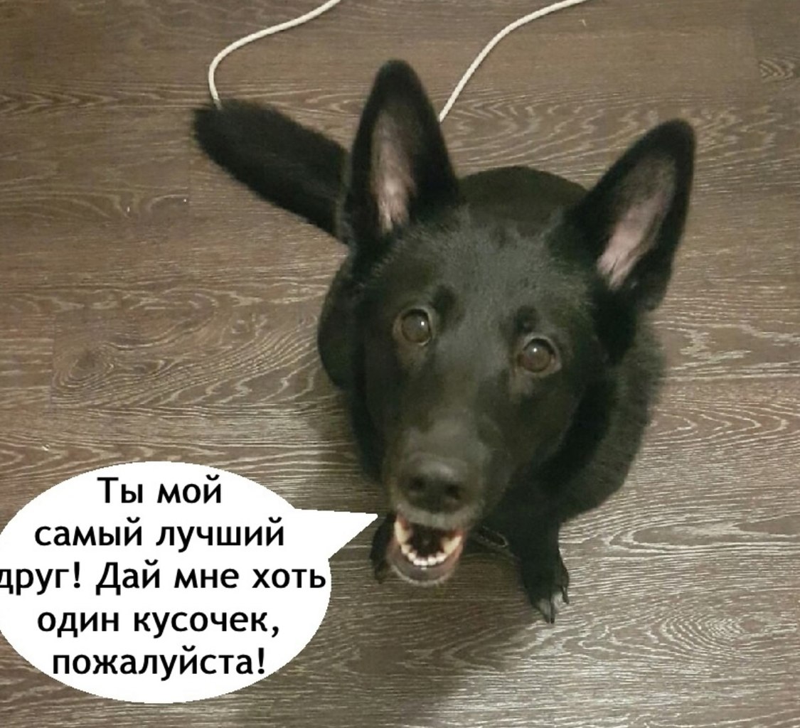    - 4