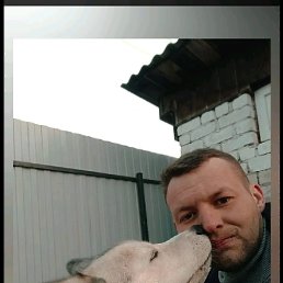 ������, 33 ����, �����������