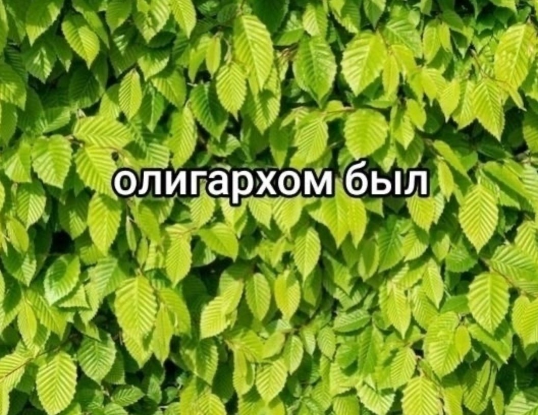   - 5
