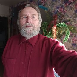 ��������, 67 ���, ��������