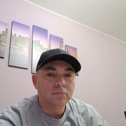 �����, 44 ����, ����������