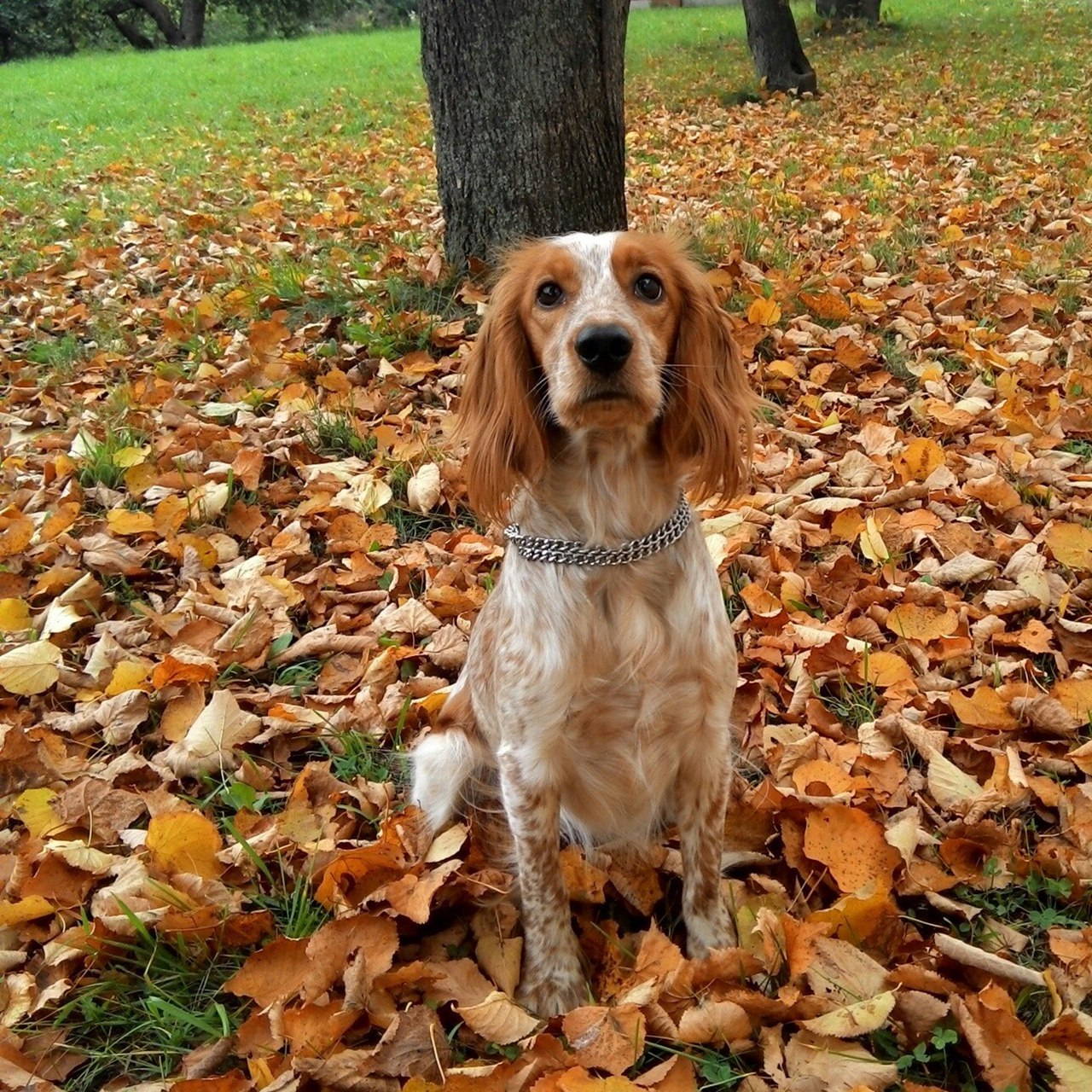 **** - 13  2025  11:45