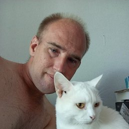 , 39, 