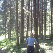 , 57 ,  