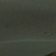 �������, 63 ����, �����