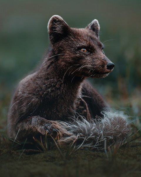  . ,    ,       ... - 5