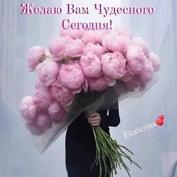 ����, ������, 61 ���