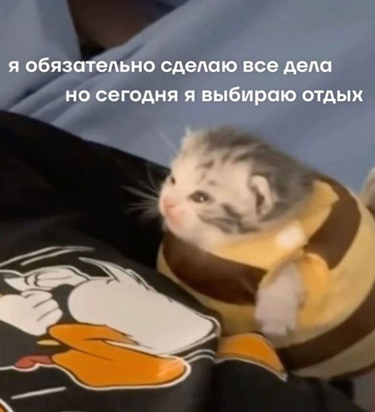 ����� �������� �� ����� ������-��������, ����� ����������: �������� �����, ���������� � ����. � ...