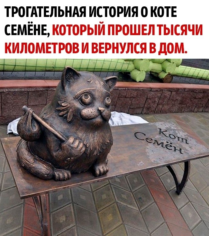    ,        ...
