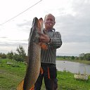 ���� �������, �����, 40 ��� - ��������� 28 ������� 2025 � ������ ���� ����������