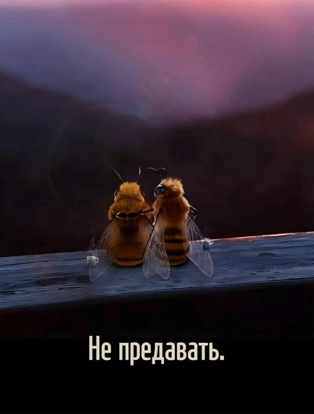    ... - 3