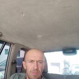 ���� �������, �����, 44 ���� - ��������� 14 ������ 2026