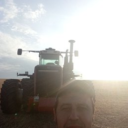 , 41, 