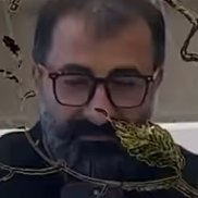 �����, 42 ����, ����