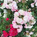 ���� ����, ������-���, 53 ���� - ��������� 14 ������ 2024 � ������ ���� ����������