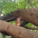 ���� ����, ����, 37 ��� - ��������� 1 ������ 2026