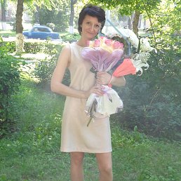 �����, �����������, 49 ���