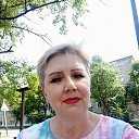 ���� ����, �����������, 66 ��� - ��������� 27 ���� 2024 � ������ ���� ����������