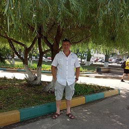 ���� ���������, �������, 43 ���� - ��������� 14 ������� 2025