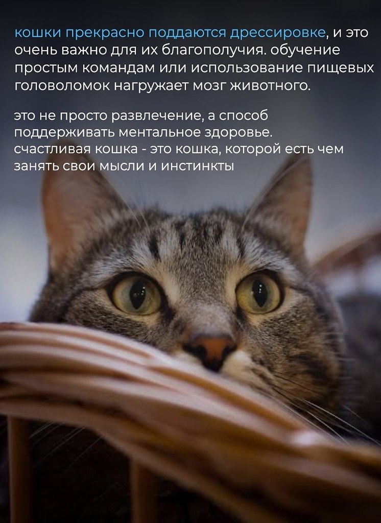 ���������� ����� ���������� ����� � ������������� �������� ����������. ������� ��������� ���� ... - 6