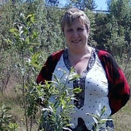 , 53, 