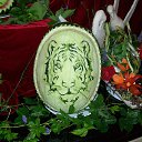 ���� �����, ������ - ��������� 6 ��� 2024 � ������ ���������