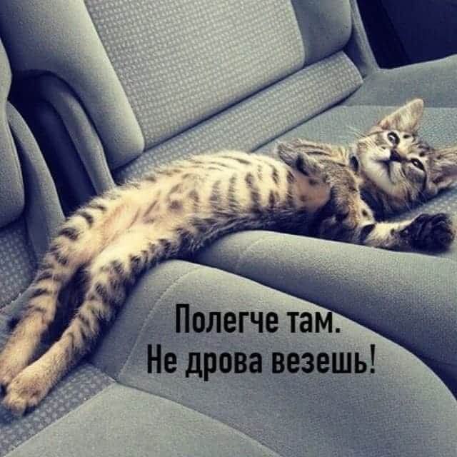   - 8  2025  12:46