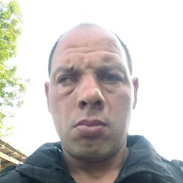 , 34, 