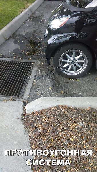 �� ����� - ������������� ������ �1 - 1 ������� 2024 � 08:50