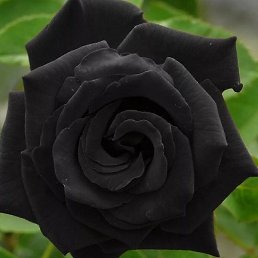 ������, ������, 21 ���