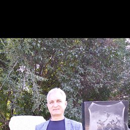 , 53,  