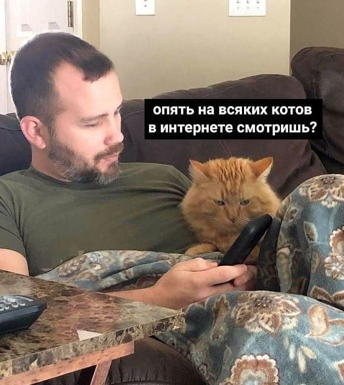    - 16  2024  23:16