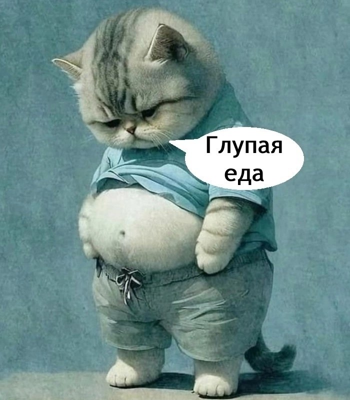 . - 17  2025  13:59