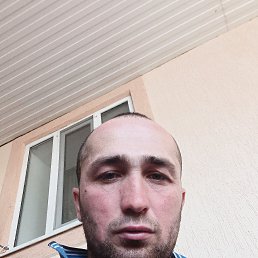 , 29, 