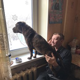 , 49 , -