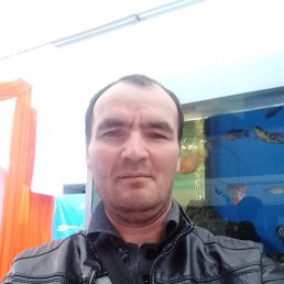 , 40, 