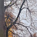 ���� �����, �����-���������, 48 ��� - ��������� 23 ������� 2026 � ������ ���� ����������