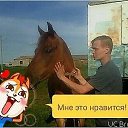 ���� ��������, �����, 38 ��� - ��������� 17 ������� 2024 � ������ ���� ����������