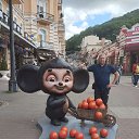 ���� ���, ������, 49 ��� - ��������� 12 ������ 2026 � ������ ���� ����������