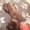 ���� Sergei, �����, 64 ���� - ��������� 28 ������� 2023 � ������ ���� ����������