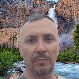 , 43 , 