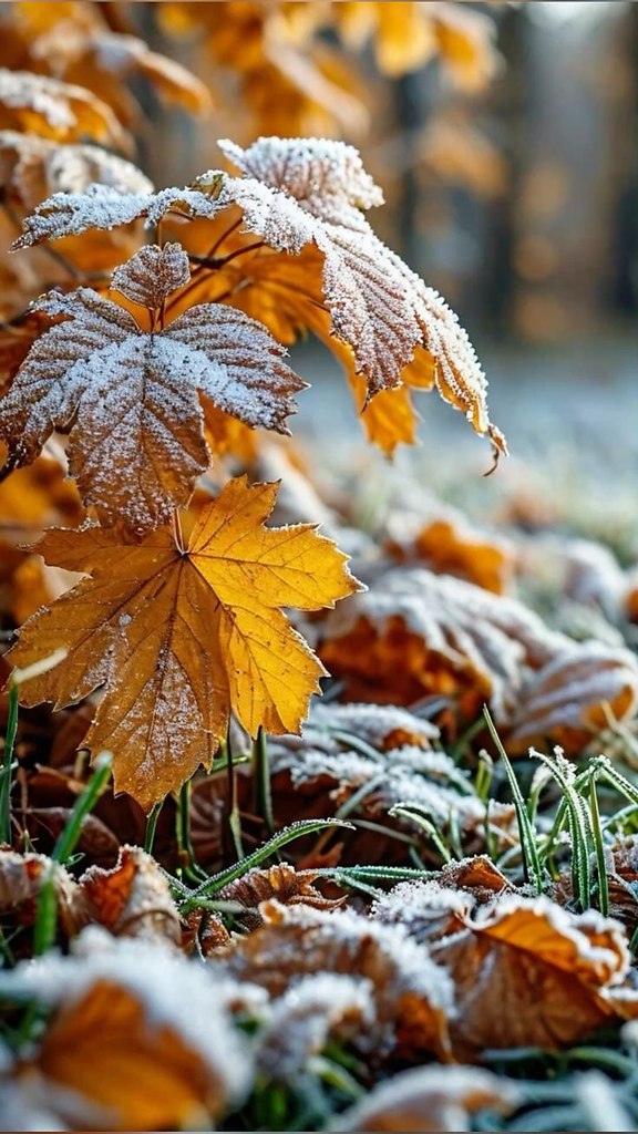   ...   ...       .   ...