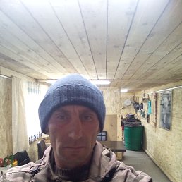 , 41, 