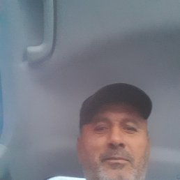 , 53 , 